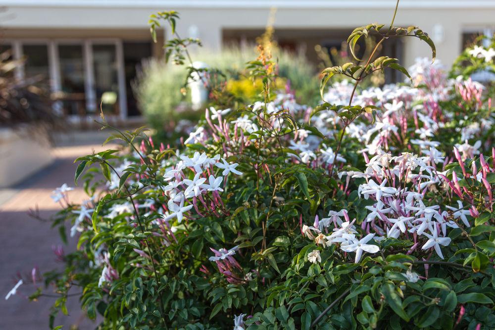 The Blue Lotus Guest House Port Elizabeth Extérieur photo